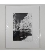 White Mat Photo Landscape Park Infrared Photography Limited Ed 2/2 Signe... - €16,64 EUR