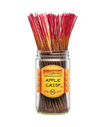 Apple Crisp Incense Sticks (Pack of 50) - £12.01 GBP