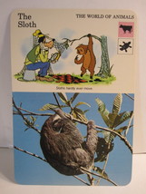 1978 Walt Disney&#39;s Fun &amp; Facts Flashcard #DFF1-9: The Sloth - £1.57 GBP