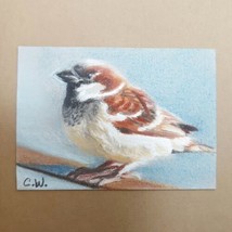 ACEO Original Signed Art Trading Card Sparrow Bird Paper 2.5 x 3.5 Sleeve Holder - £25.18 GBP