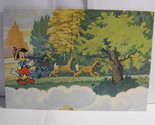 1978 Walt Disney&#39;s Fun &amp; Facts Flashcard #DDF2-15: The Coniferous Forest - $2.00