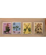 Nepal Herbs Flowers 4v 1980 MNH SG#396-399 FLORAL - £3.56 GBP