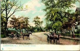 Tuck &amp; Sons Postcard UDB Lakewood NJ Drive Around Lake Carasaljo Unused UNP Q15 - $9.85