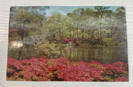Postcard Municipal Gardens Norfolk Virginia USA - £3.90 GBP