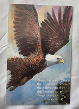 Warner Vtg Postcard Flying Eagle Isaiah 40:31 2001  - $8.25