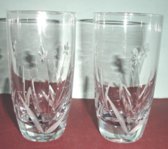 Kathy Ireland Tranquility Crystal Highball Glass SET/2 Etched Florals NEW No Box - £30.61 GBP
