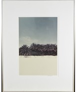 Untitled (Palm Tree) Signed Photo by Chet D&#39;Autremont Framed-
show origi... - $166.43