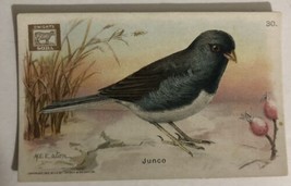 Junco Victorian Trade Card Arm And Hammer VTC 5 - £3.86 GBP