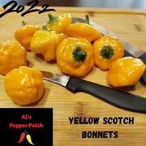 15 Seeds Yellow Scotch Bonnet Hot Pepper Heirloom Seeds Sprout Fast Delight - £8.57 GBP