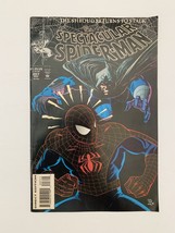 Spectacular Spider-Man: The Shroud Returns to Stalk 1993 Vintage Comic #207 - £13.67 GBP