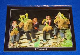 Vietnam harvest locals postcard 1 thumb200