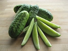 50 National Pickling Cucumber Seeds - £1.54 GBP