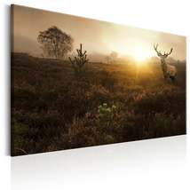 Tiptophomedecor Stretched Canvas Animal Art - Foggy Field - Stretched &amp; Framed R - £80.60 GBP+