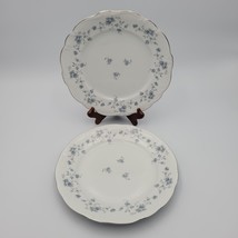 Vtg Johann Haviland Blue Garland China Dinner Plates Floral Pattern Set ... - £28.28 GBP