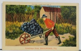 Rockwood Pa Greetings Farmer Wheelbarrow with Huge Grapes Postcard D2 - £12.81 GBP