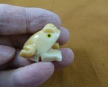 (y-fro-45) tan baby FROG carving stone gemstone SOAPSTONE love little frogs - $8.59