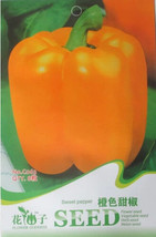 Orange Bell Pepper Organic 8 Garden Beautiful - £4.75 GBP