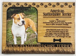 AMERICAN STAFFORDSHIRE TERRIER Dog Profile Engraved Wood Picture Frame M... - $9.90