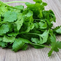 Fresh Garden Organic Cilantro - Seeds - Organic - Non Gmo - Heirloom Seeds – Her - £7.09 GBP