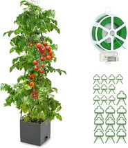 Climbing Vine Vegetables, Flowers, Plants, Self-Watering Tomatoes In A C... - £29.35 GBP