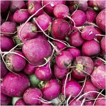 200 Seeds Purple Plum Radish Heirloom Seeds Plant Now Fast Results - £6.44 GBP