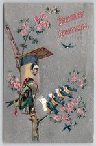Birds Birthday Dressed Bird With Pipe Cute Chior Pink Flower Tree Postcard R29 - £6.37 GBP