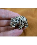 Y-BEA-BF-593 Spotted black BEAR with Fish gemstone carving FIGURINE I lo... - $19.99