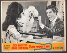 Some Kind of a Nut-Lobby Card-#3-1969-Dick Van Dyke-Rosemary Forsyth - £37.34 GBP