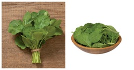 Ethiopian Kale Seeds Brassica Carinata 4,000 Fresh Garden Seeds Home and... - £16.46 GBP