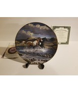 Untamed Spirits - Collector Plate - Forever Free by Persis Clayton Weirs... - £11.60 GBP