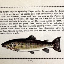 Atlantic Salmon 1939 Fresh Water Fish Art Gordon Ertz Color Plate Print ... - $29.99