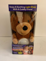 Bright Cuddle Lights - Magical Light Up Fun, Bear Pre-owned Free Shipping - £10.48 GBP