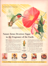 Vintage 1942 Dextrose Natures Sugar Hummingbird &amp; Flower Print Advertise... - $6.49