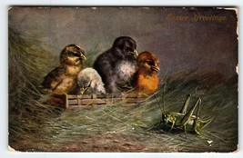 Easter Postcard Baby Chicks Look At Large Grasshopper Insect 1908 Germany HKM - £27.20 GBP