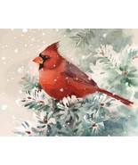 Cardinal Paint By Numbers Kit - $26.99
