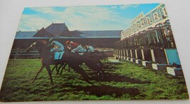 Vtg Paul Art Press Postcard horse racing Saratoga at the starting gate- ... - £3.93 GBP