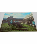 Vtg Paul Art Press Postcard horse racing Saratoga at the starting gate- ... - $5.00