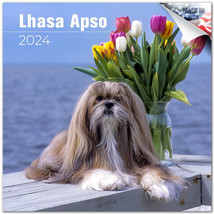 Lhasa Apso Wall Calendar 2024 Animal Dog Pet Lover Gift - £19.34 GBP