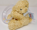 Baby Gund Cuddly Pals Tiny Bundles Brown Plush Bear with Rattle 58396 - £13.92 GBP
