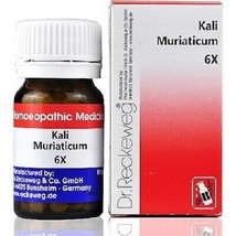 Dr. Reckeweg Kali Muriaticum 6X (20g) + Free Shipping Worldwide - £9.62 GBP