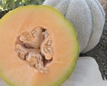 20roquois Melon Seeds Fruit Non Gmo Fast Shipping - $8.99