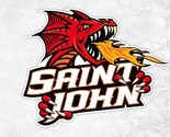 AHL Saint John Flames Mens Polo Shirt XS-6X, LT-4XLT Adirondack Calgary New - $26.99+