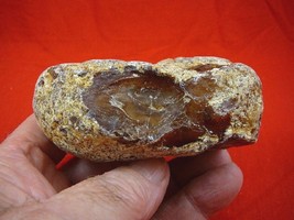 (k-2050) 170 g Rare Kauri tree Gum copal young Amber New Zealand Tane Mahuta - £177.46 GBP