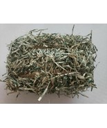 Vintage Over Two Ounce of Real Shredded US Currency Money long cut - £18.18 GBP