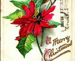 Raphael Tuck A Pointsettia w MB Whitman Poem Merry Christmas1909 Postcard  - $7.87