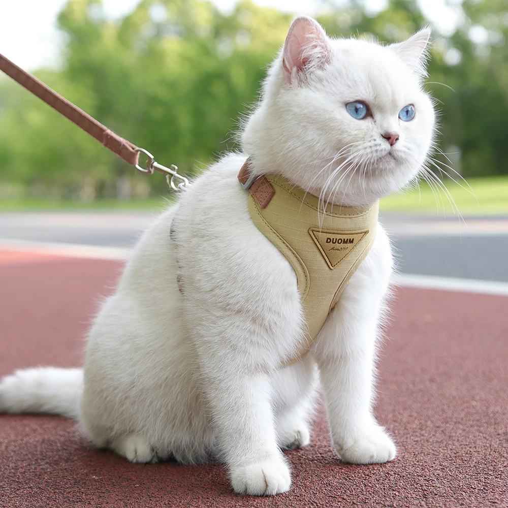 Cat Puppy Outdoor Walking Supplies Fashion Pet Harness and Leash Set for Small D - $25.00