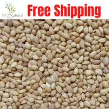 100 Grams Mahlab cherry Rosaceae Prunus mahaleb محلب ابيض Free Shipping - £14.04 GBP