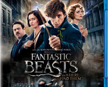 Fantastic Beasts Blu-ray | Region B - $15.19