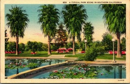 A Typical Park Scene in Southern California CA UNP Linen Postcard E2 - $3.91