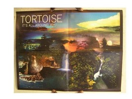 Tortoise Poster  It&#39;s All Around You - £21.23 GBP